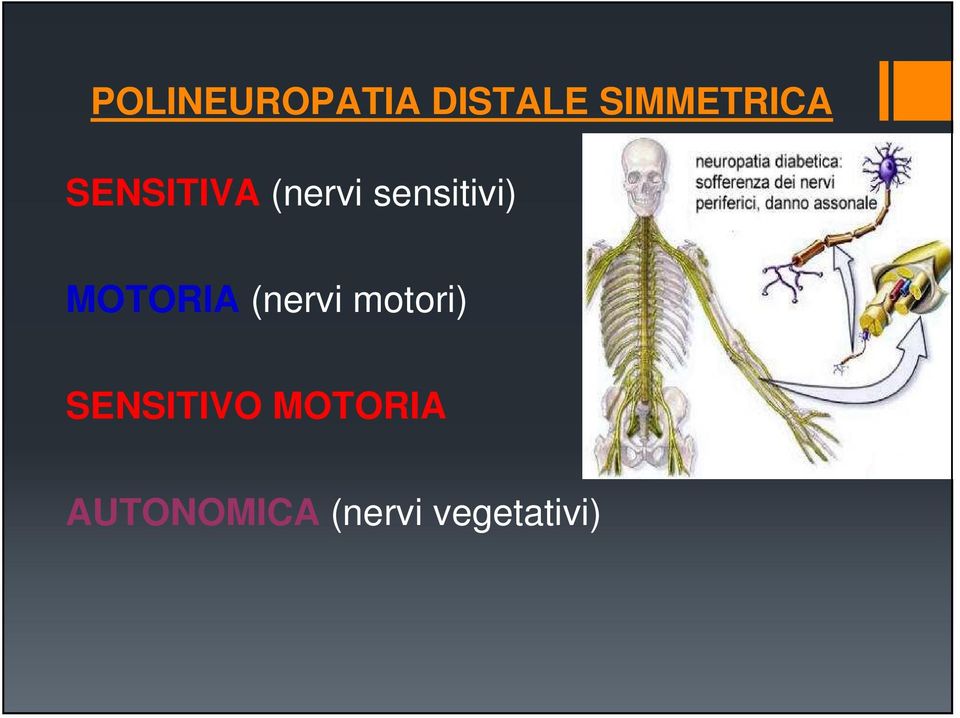 sensitivi) MOTORIA (nervi