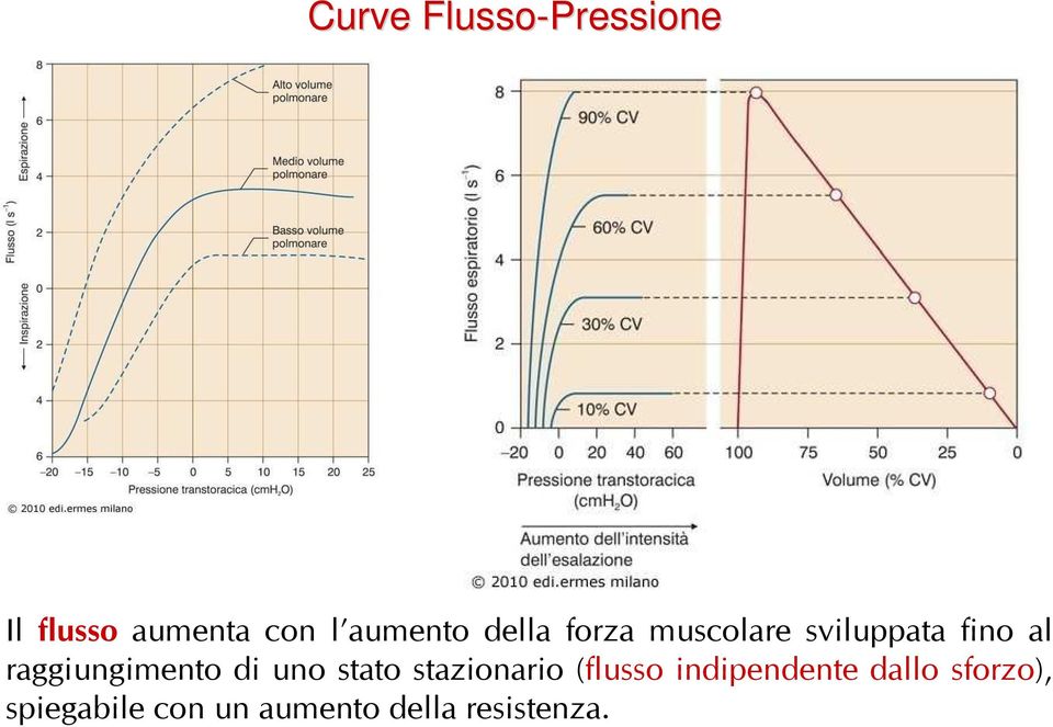 raggiungimento di uno stato stazionario (flusso