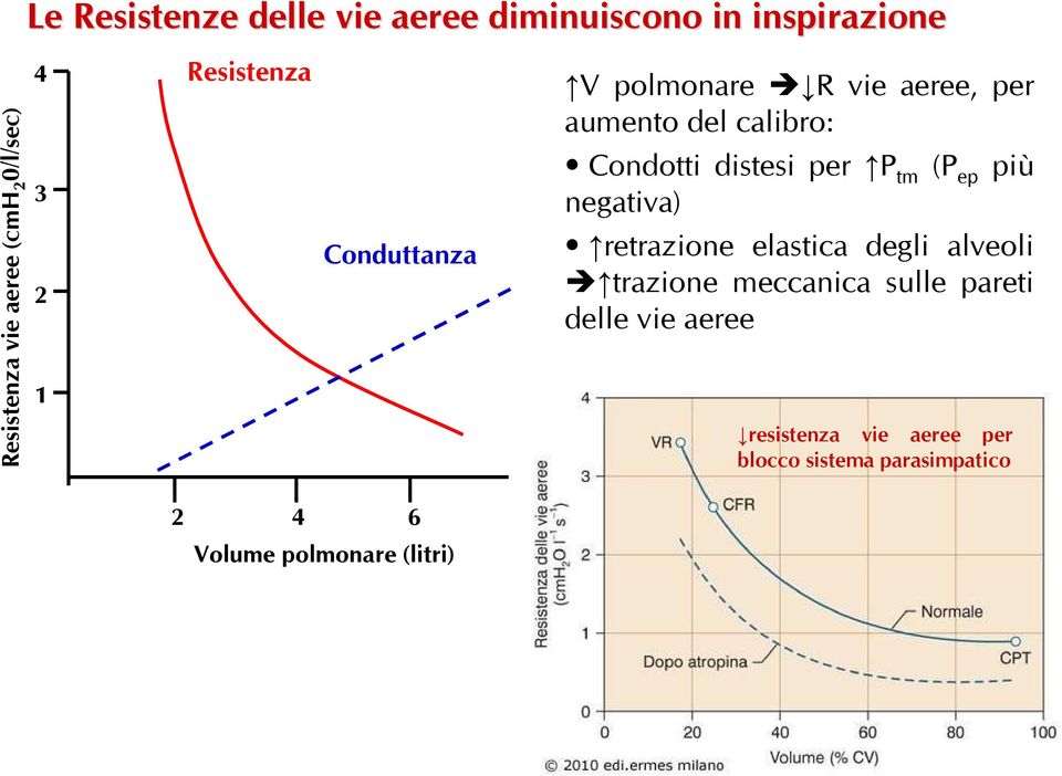 per P tm (P ep più negativa) retrazione elastica degli alveoli trazione meccanica sulle pareti