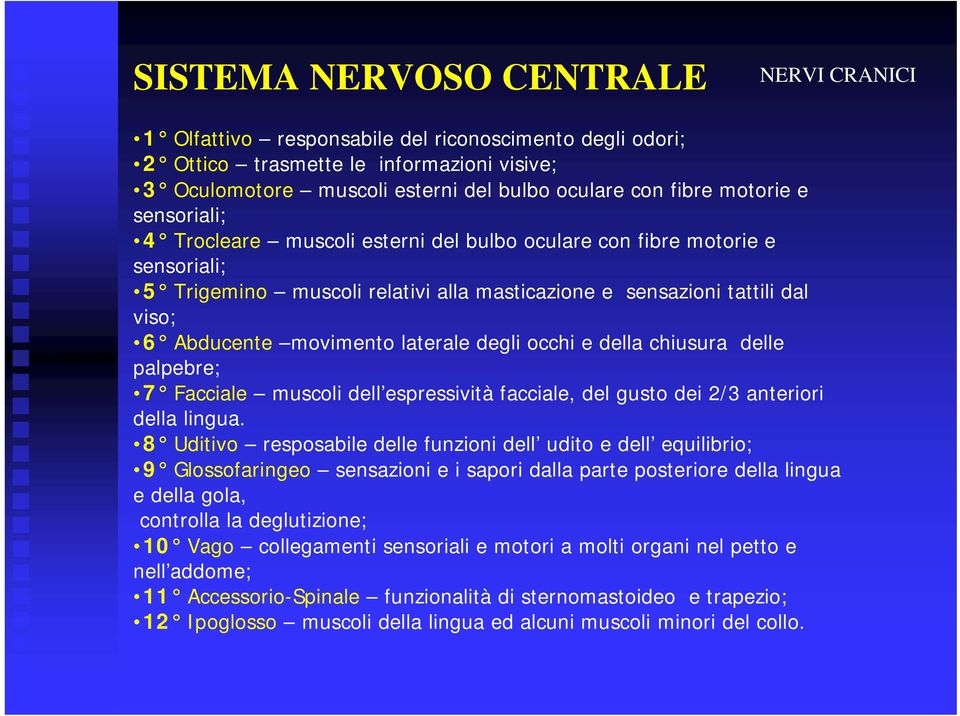 laterale degli occhi e della chiusura delle palpebre; 7 Facciale muscoli dell espressività facciale, del gusto dei 2/3 anteriori della lingua.