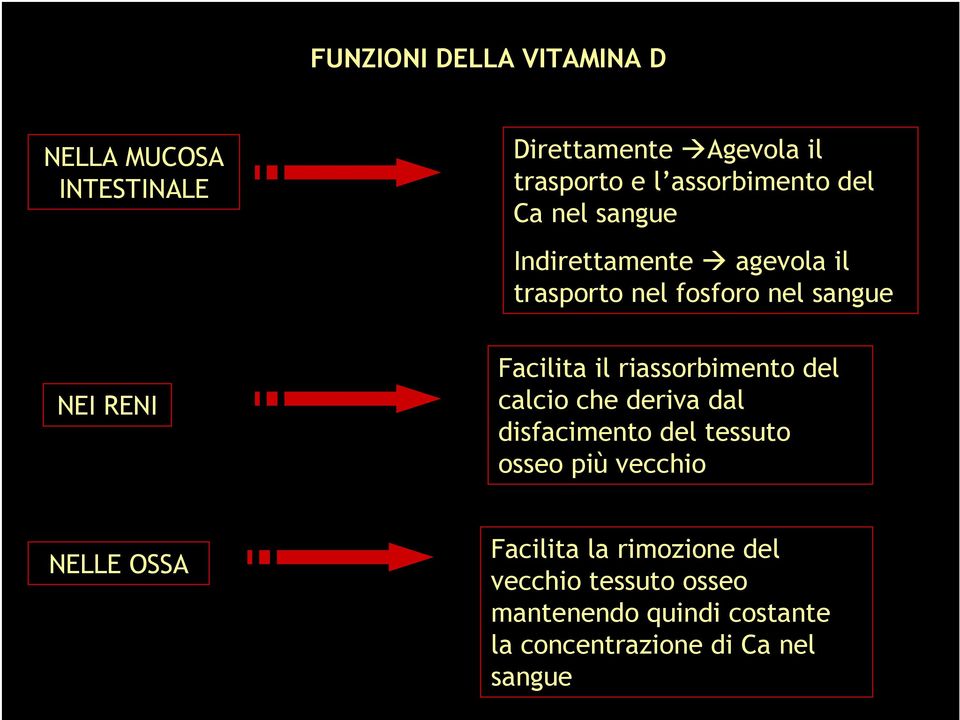 Facilita il riassorbimento del calcio che deriva dal disfacimento del tessuto osseo più vecchio