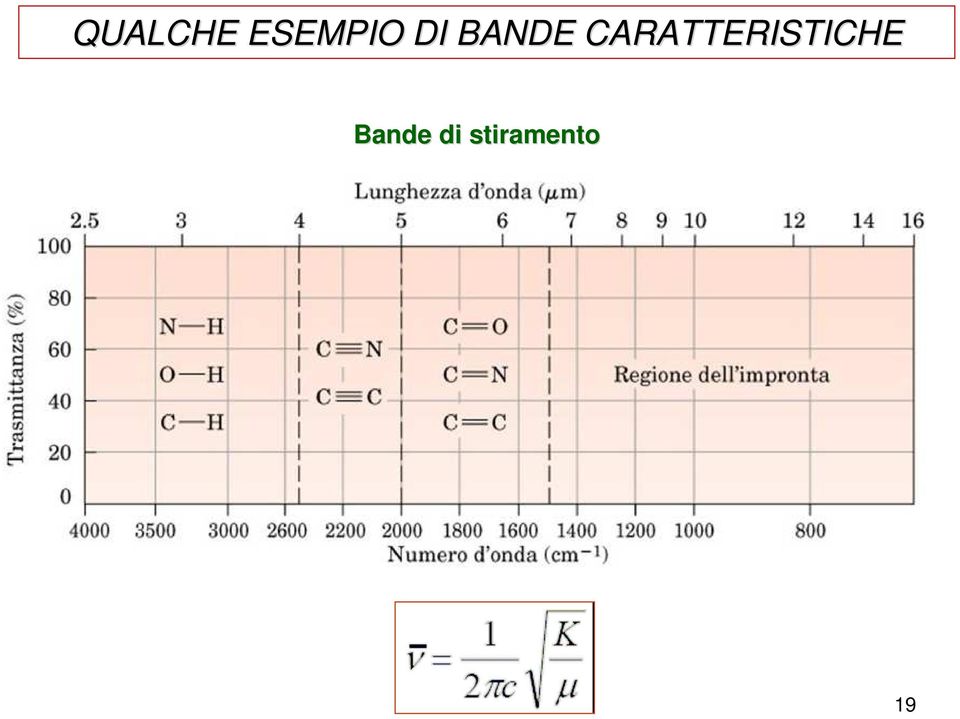 CARATTERISTICE