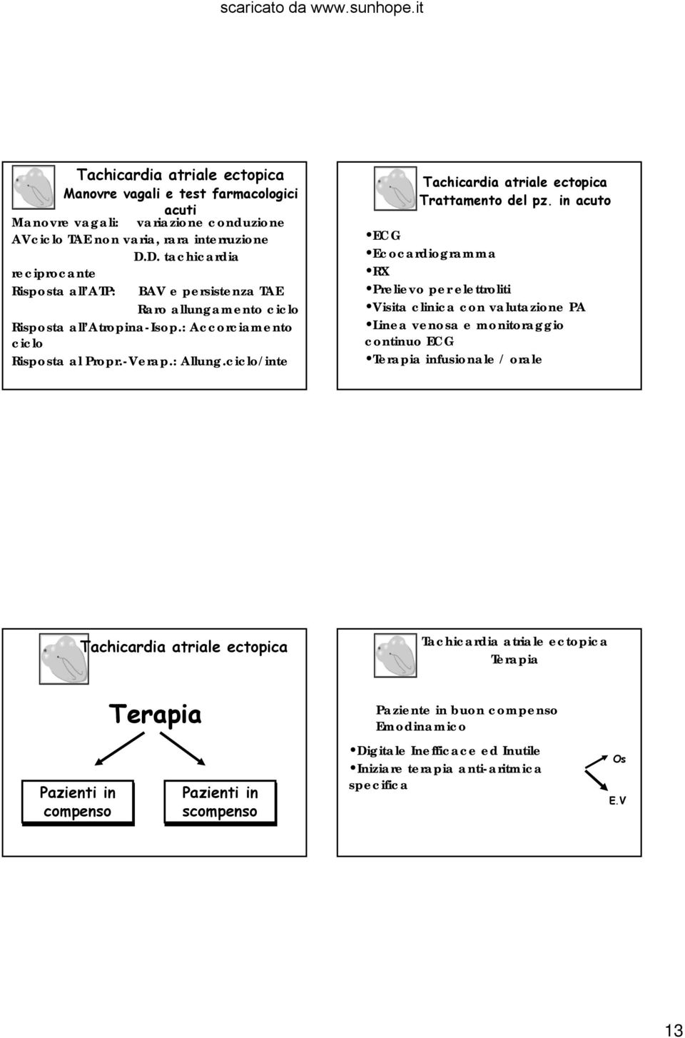 ciclo/inte Tachicardia atriale ectopica Trattamento del pz.