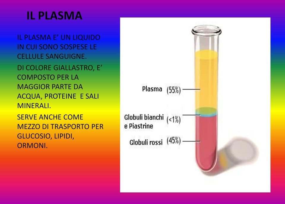 DI COLORE GIALLASTRO, E COMPOSTO PER LA MAGGIOR PARTE DA