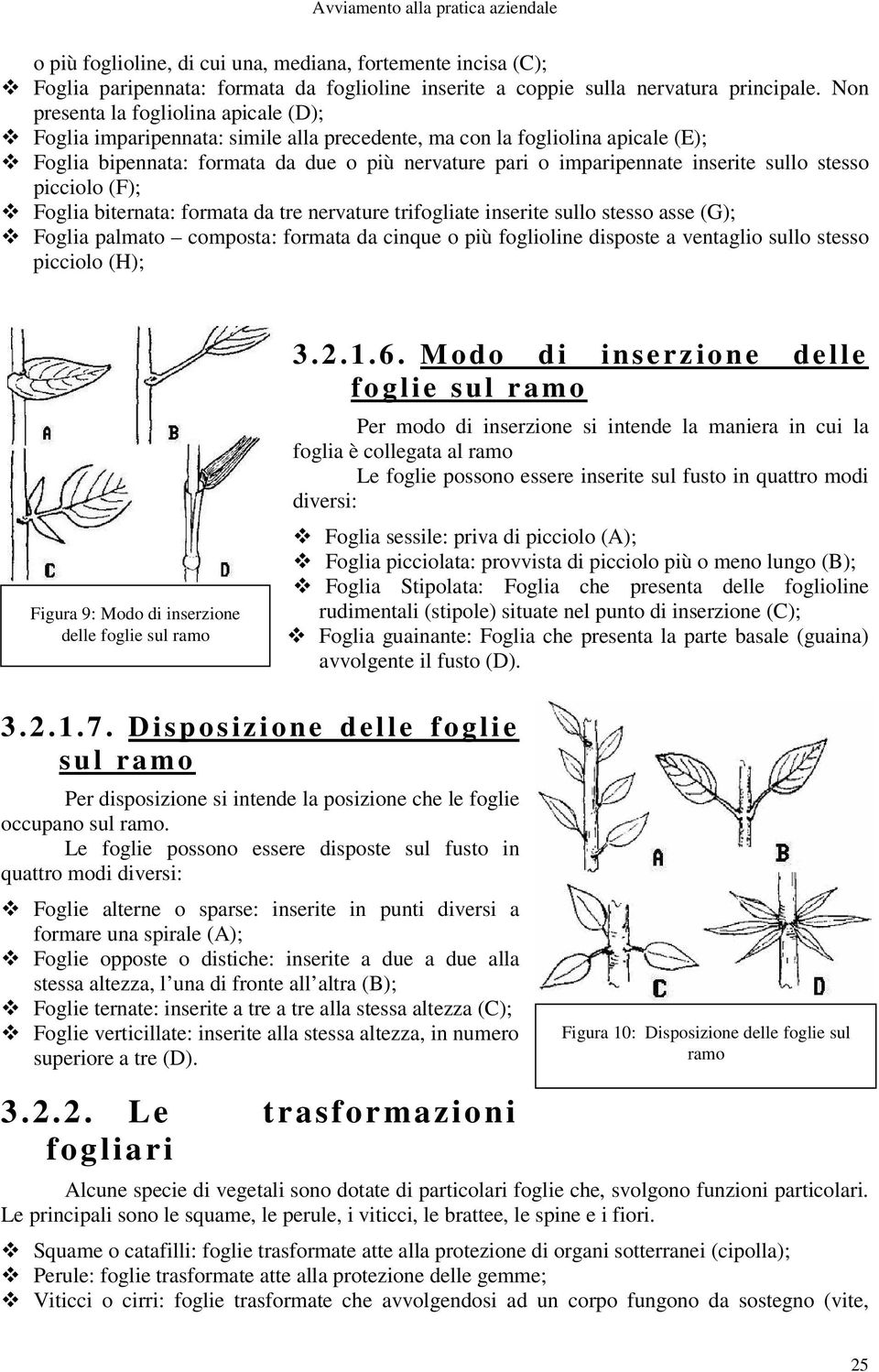 sullo stesso picciolo (F); Foglia biternata: formata da tre nervature trifogliate inserite sullo stesso asse (G); Foglia palmato composta: formata da cinque o più foglioline disposte a ventaglio