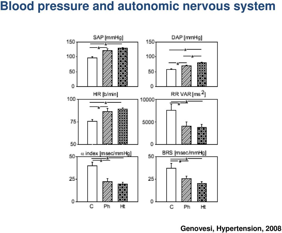 nervous system