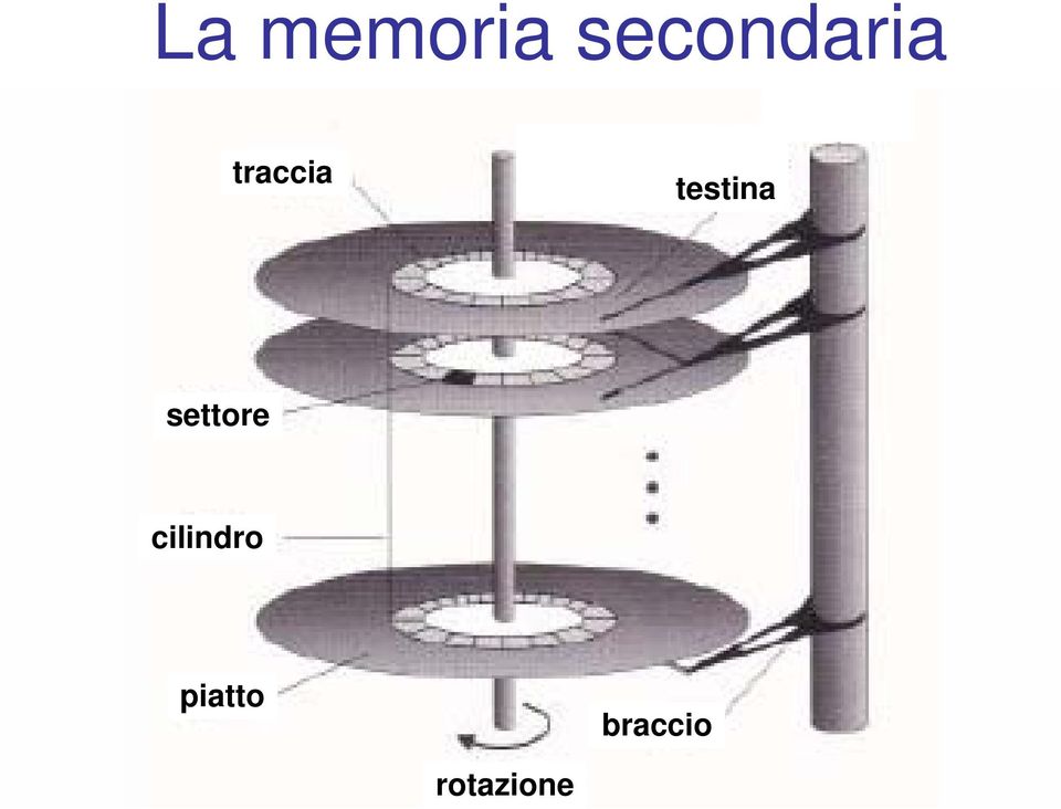 testina settore