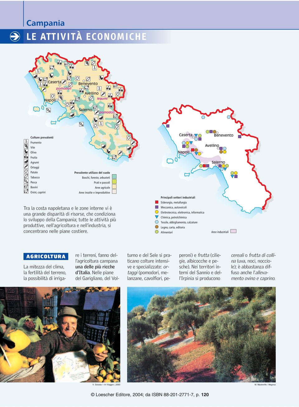 condiziona lo sviluppo della Campania; tutte le attività più produttive, nell agricoltura e nell industria, si concentrano nelle piane costiere.