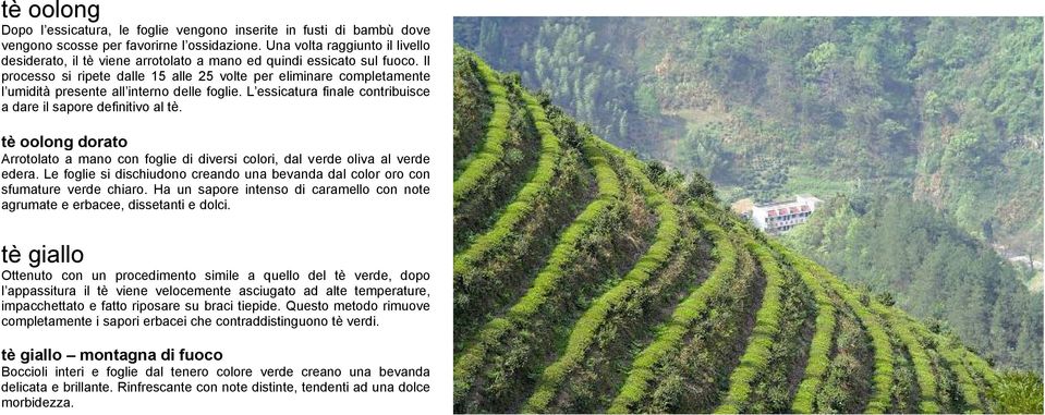 Il processo si ripete dalle 15 alle 25 volte per eliminare completamente l umidità presente all interno delle foglie. L essicatura finale contribuisce a dare il sapore definitivo al tè.