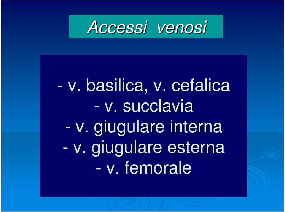 succlavia - v.