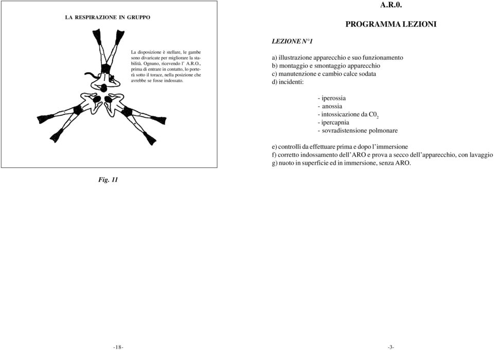 intossicazione da C0 2 - ipercapnia - sovradistensione polmonare e) controlli da effettuare prima e dopo l immersione f) corretto indossamento dell ARO e prova a secco dell