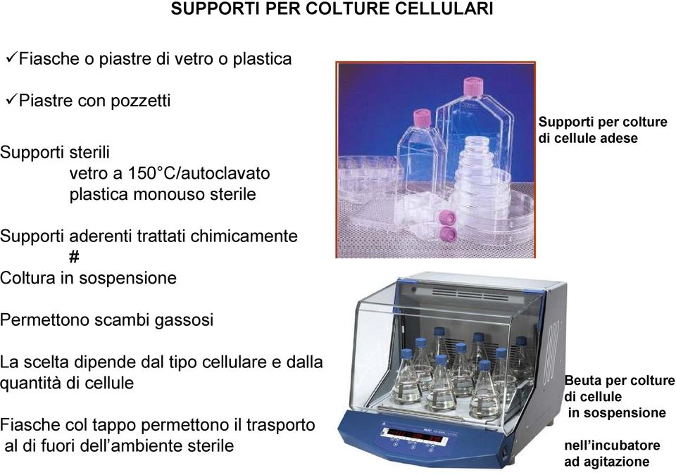 Coltura in sospensione Permettono scambi gassosi La scelta dipende dal tipo cellulare e dalla quantità di cellule Fiasche col