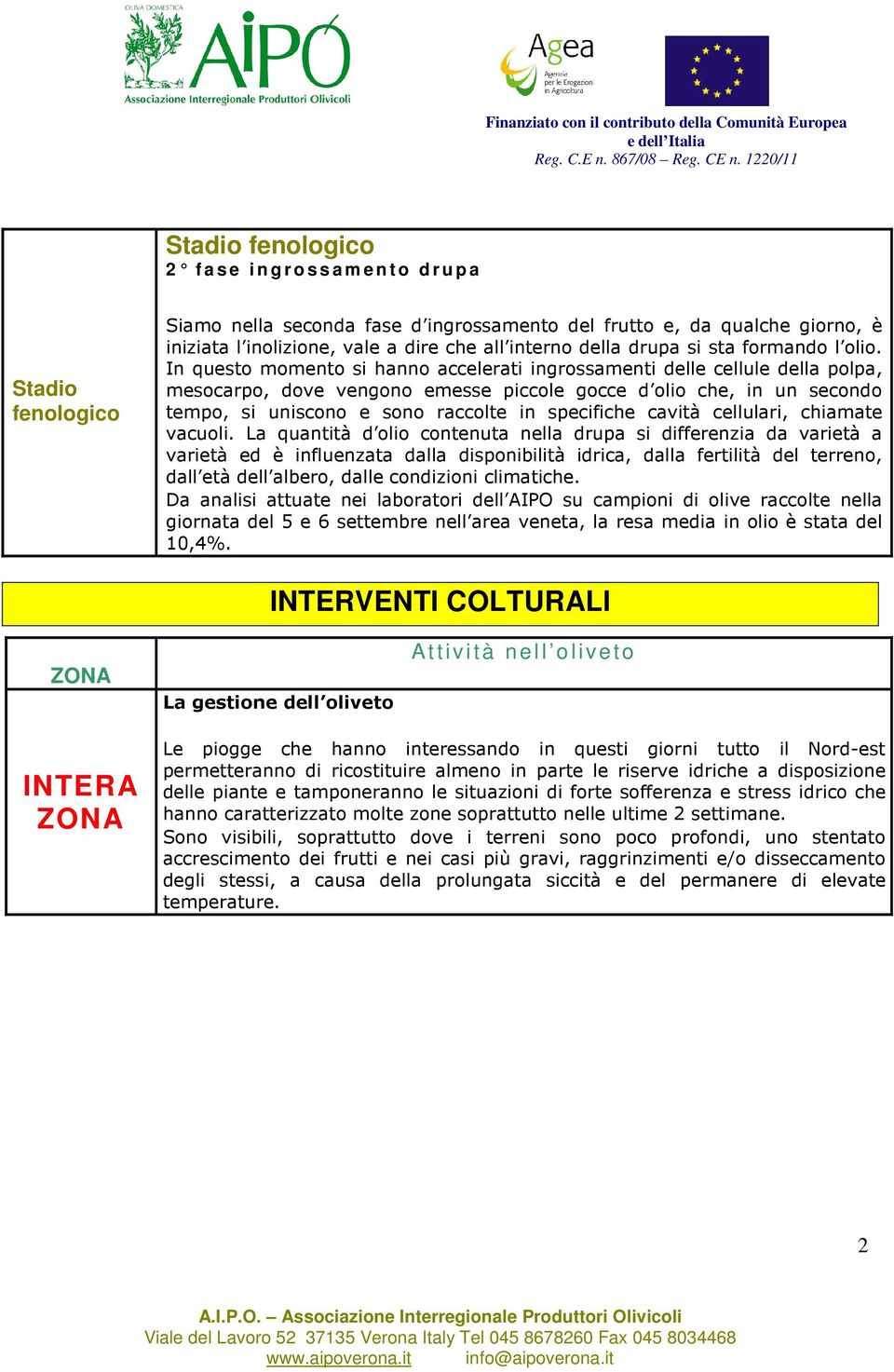 In questo momento si hanno accelerati ingrossamenti delle cellule della polpa, mesocarpo, dove vengono emesse piccole gocce d olio che, in un secondo tempo, si uniscono e sono raccolte in specifiche