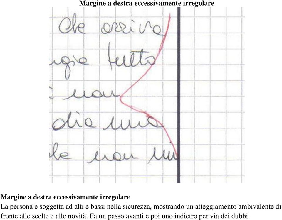 nella sicurezza, mostrando un atteggiamento ambivalente di fronte