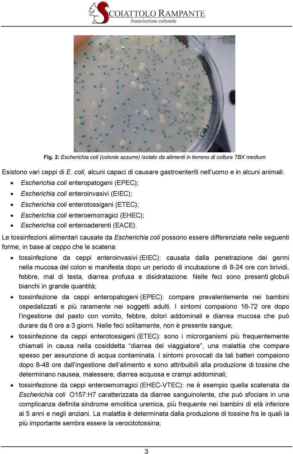 Escherichia coli enteroemorragici (EHEC); Escherichia coli enteroaderenti (EACE).