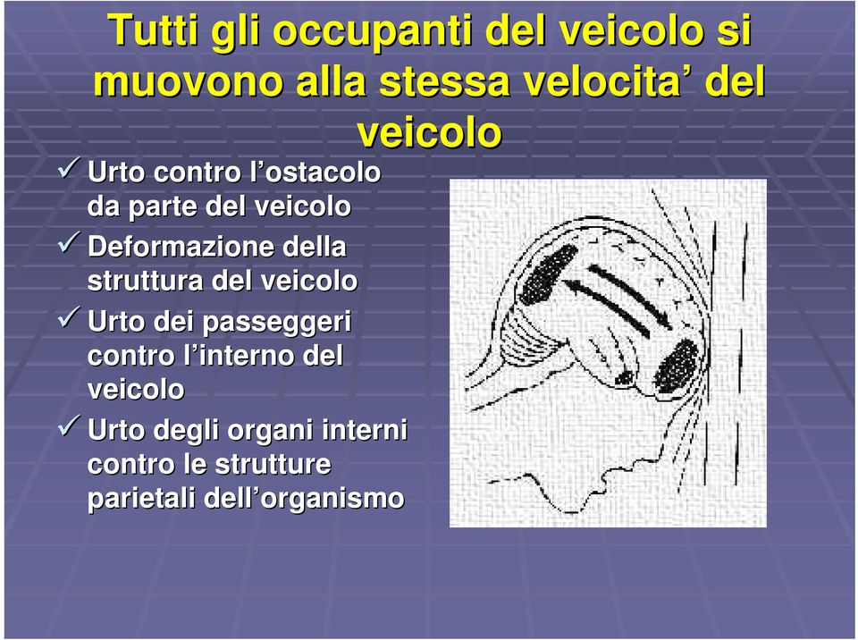 struttura del veicolo Urto dei passeggeri contro l interno l del