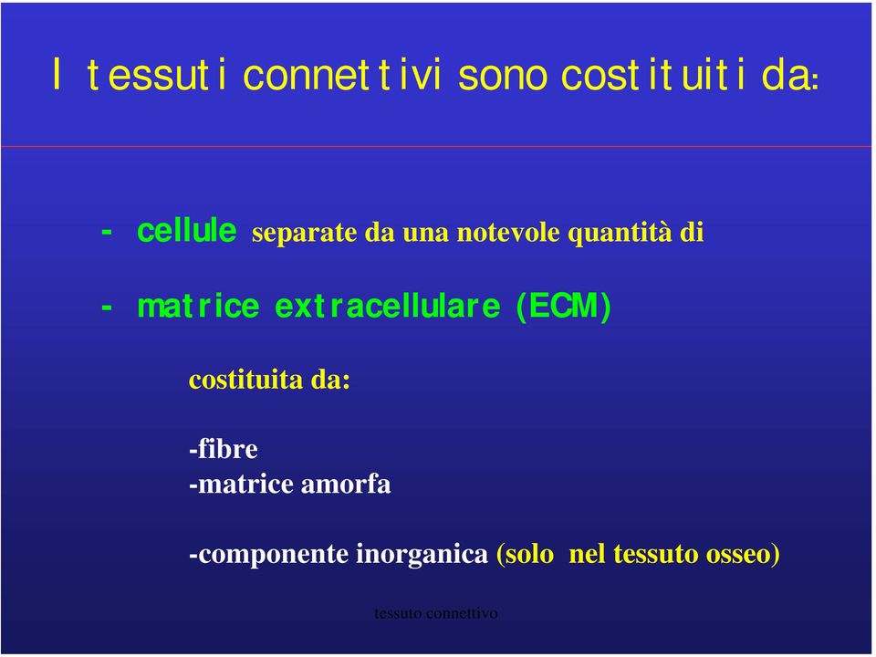 extracellulare (ECM) costituita da: -fibre -matrice