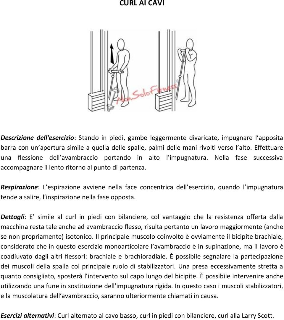 Respirazione: L espirazione avviene nella face concentrica dell esercizio, quando l impugnatura tende a salire, l inspirazione nella fase opposta.