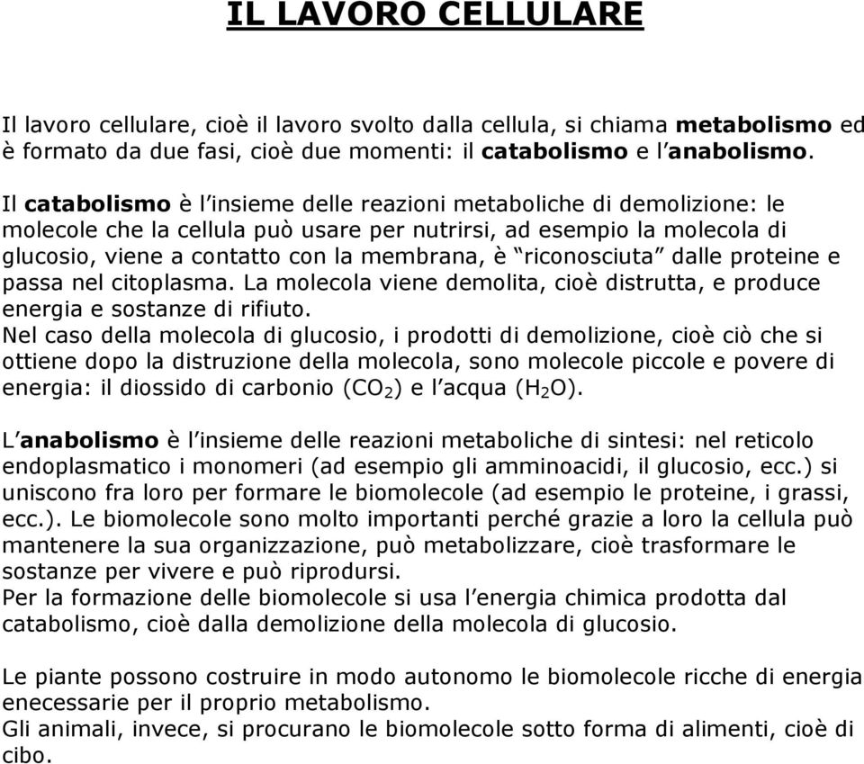 riconosciuta dalle proteine e passa nel citoplasma. La molecola viene demolita, cioè distrutta, e produce energia e sostanze di rifiuto.