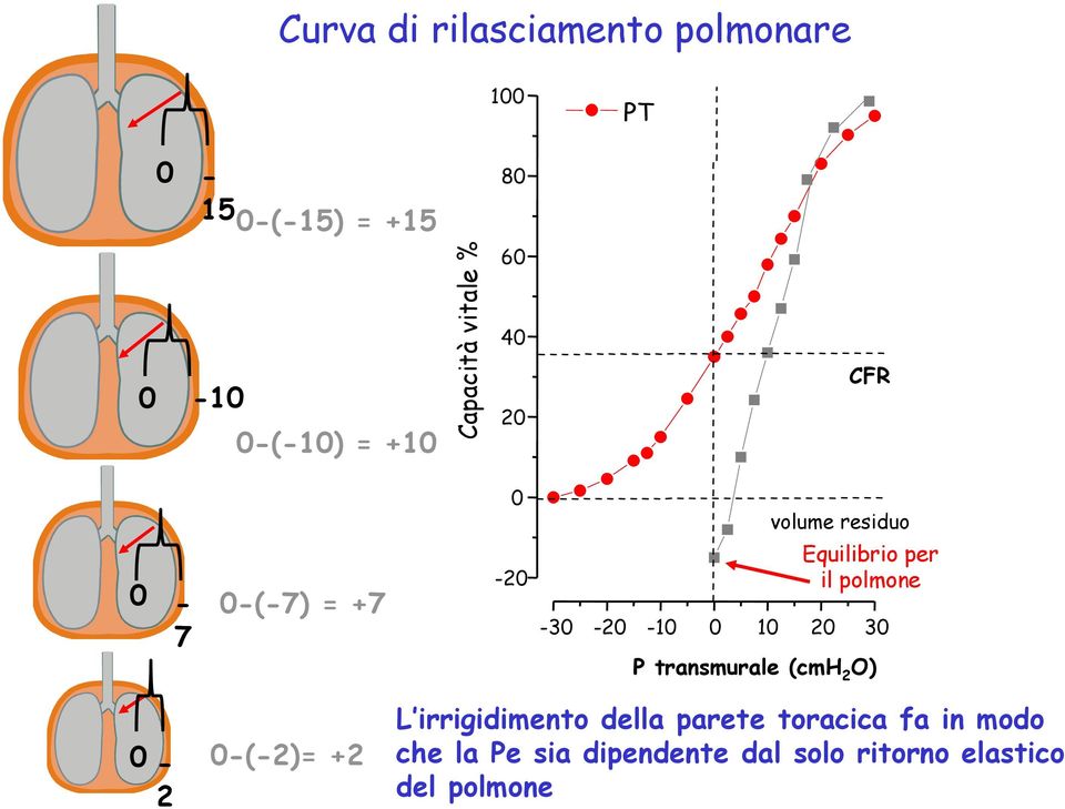 -3-2 -1 1 2 3 P transmurale (cmh 2 O) - 2 -(-2)= +2 L irrigidimento della