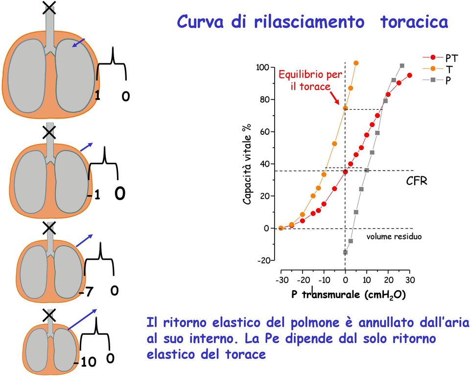 transmurale l (cmh 2 O) -1 Il ritorno elastico del polmone è annullato