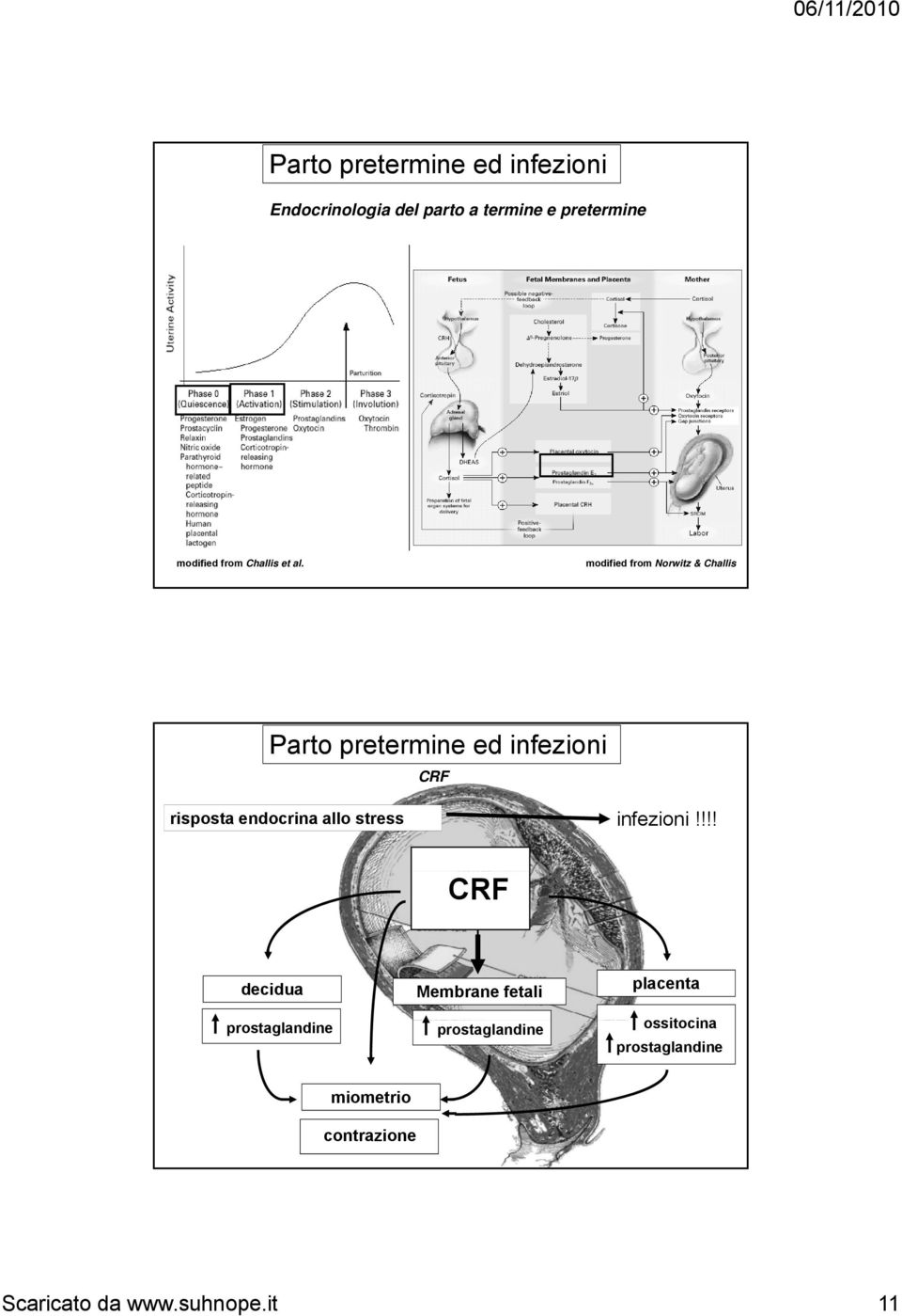 !!! CRF decidua prostaglandine Membrane fetali prostaglandine placenta