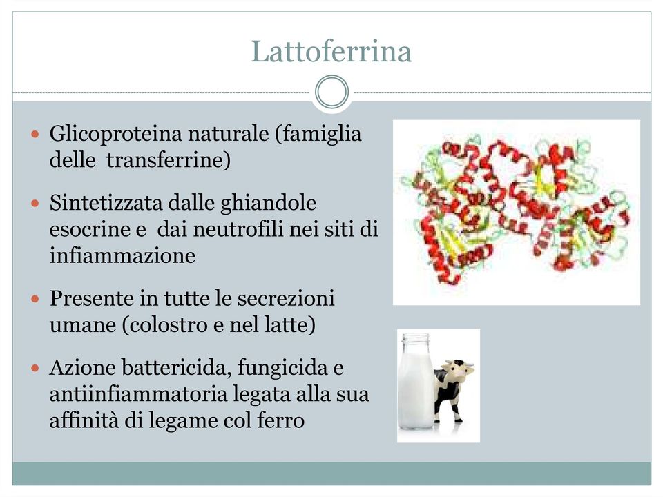 infiammazione Presente in tutte le secrezioni umane (colostro e nel latte)