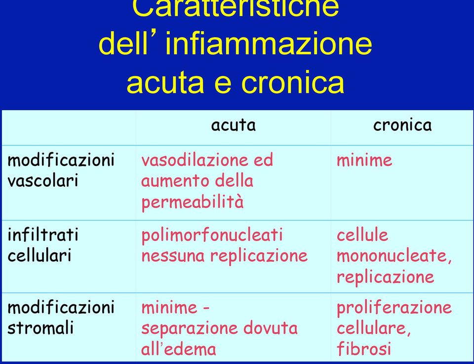 permeabilità polimorfonucleati nessuna replicazione minime - separazione dovuta