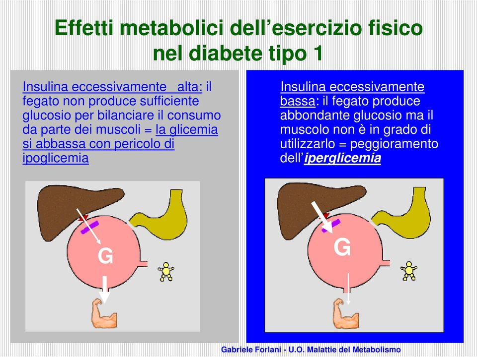 glicemia si abbassa con pericolo di ipoglicemia Insulina eccessivamente bassa: il fegato produce