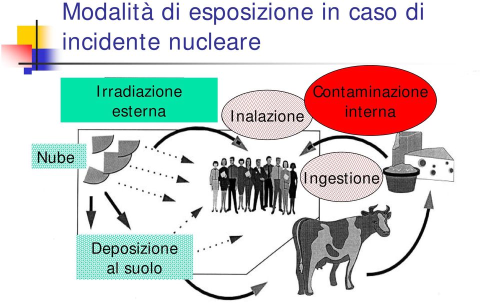 esterna Inalazione Contaminazione