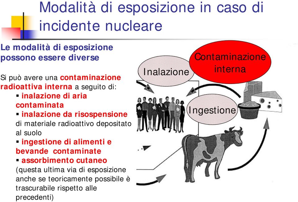 radioattivo depositato al suolo ingestione di alimenti e bevande contaminate Deposizione al suolo assorbimento cutaneo (questa ultima