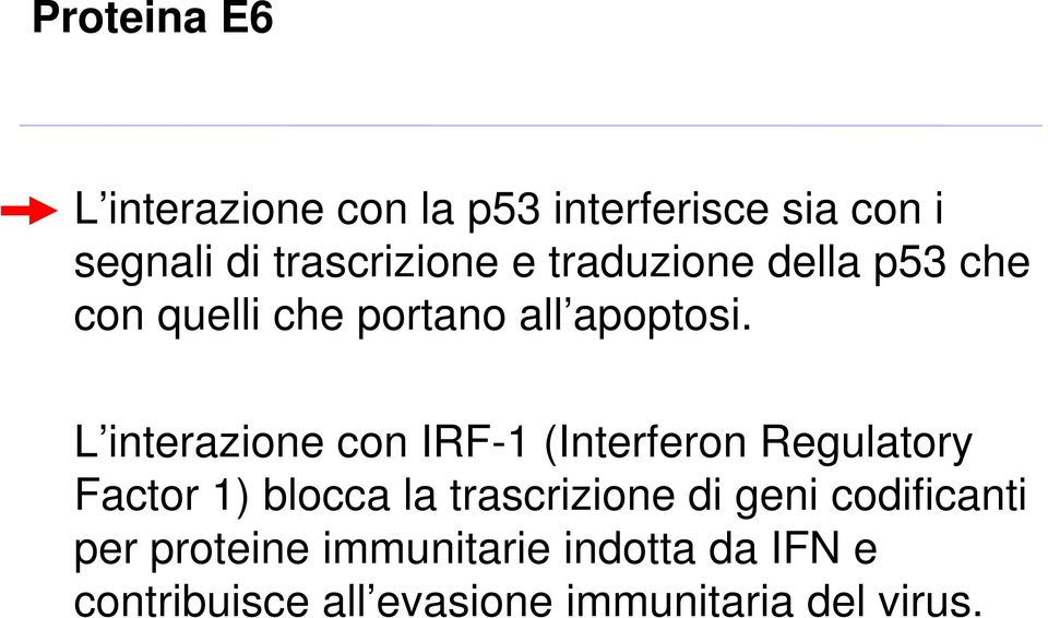 L interazione con IRF-1 (Interferon Regulatory Factor 1) blocca la trascrizione di
