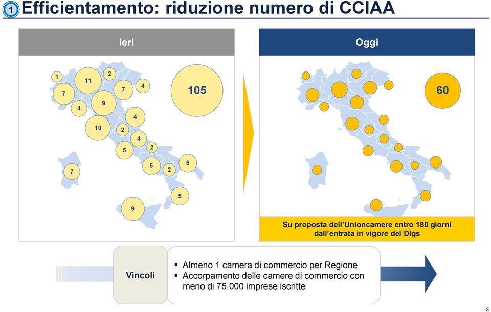 in vigore del Dlgs Vincoli Almeno 1 camera di commercio per Regione