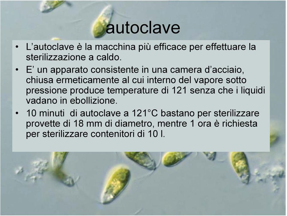 pressione produce temperature di 121 senza che i liquidi vadano in ebollizione.