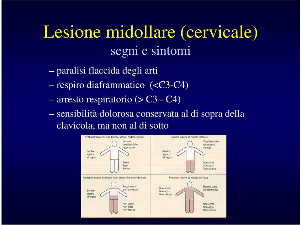 arresto respiratorio (> C3 - C4) sensibilità dolorosa