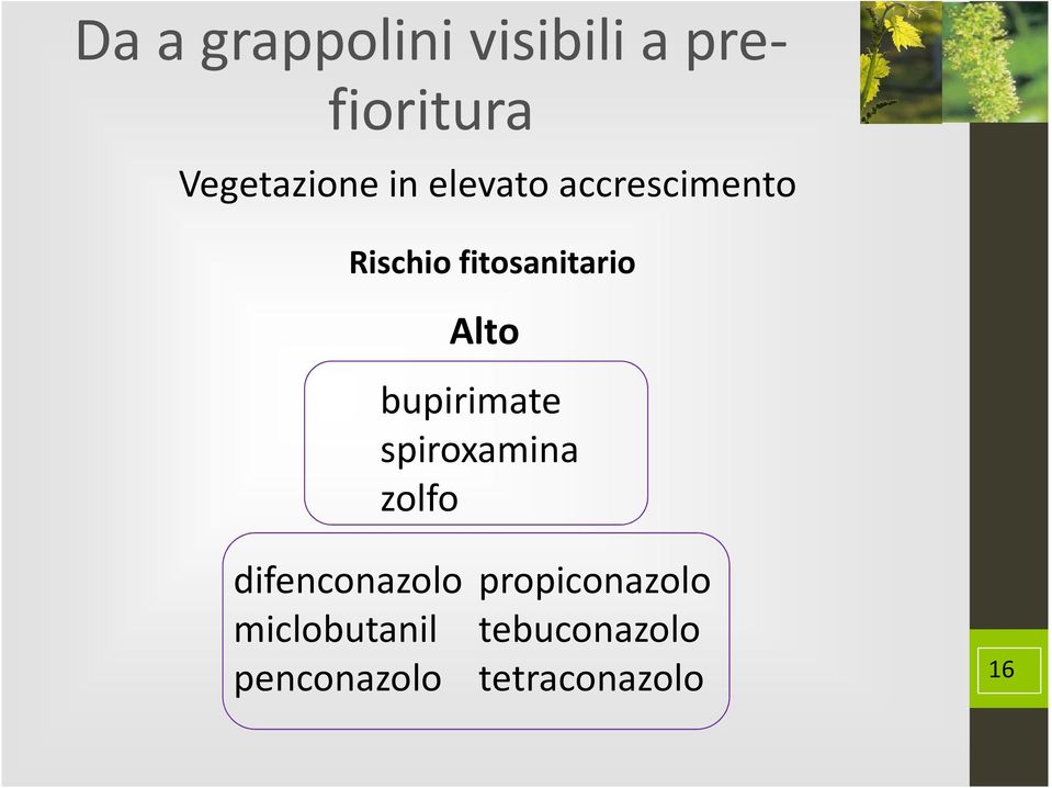 bupirimate spiroxamina zolfo difenconazolo