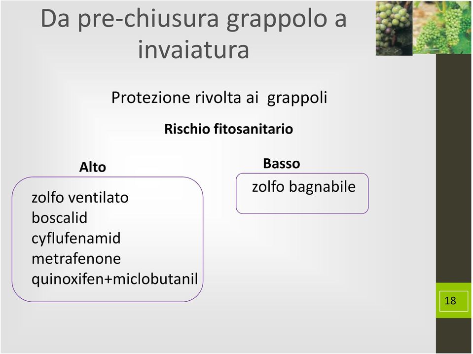 zolfo ventilato boscalid cyflufenamid