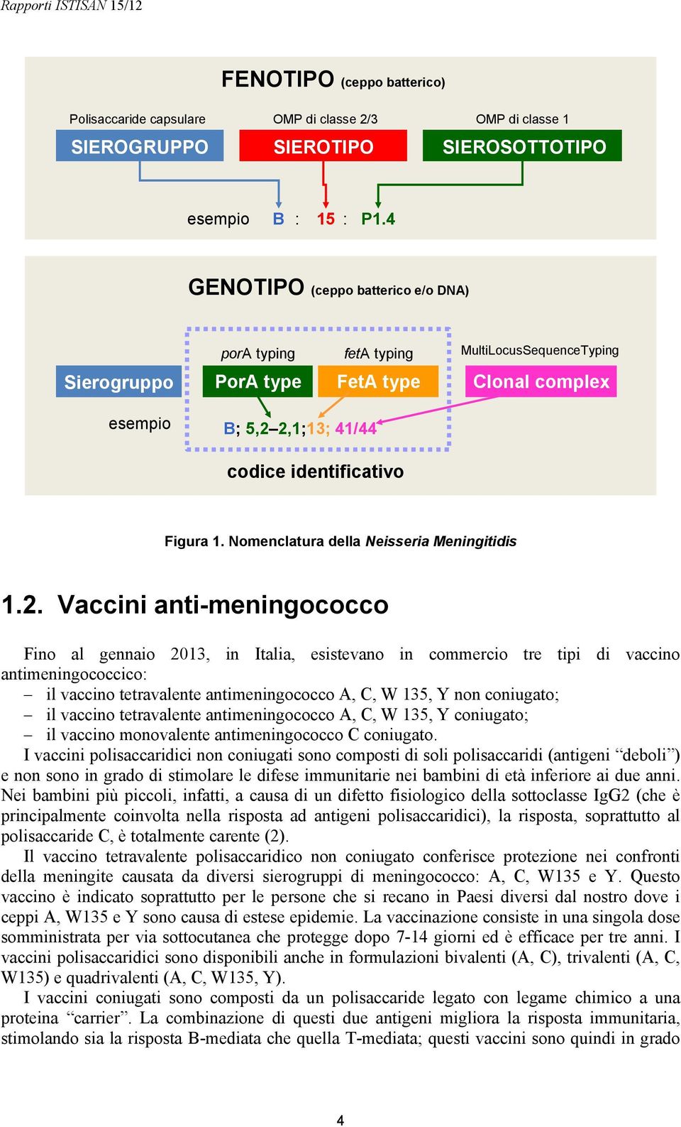 Nomenclatura della Neisseria Meningitidis 1.2.