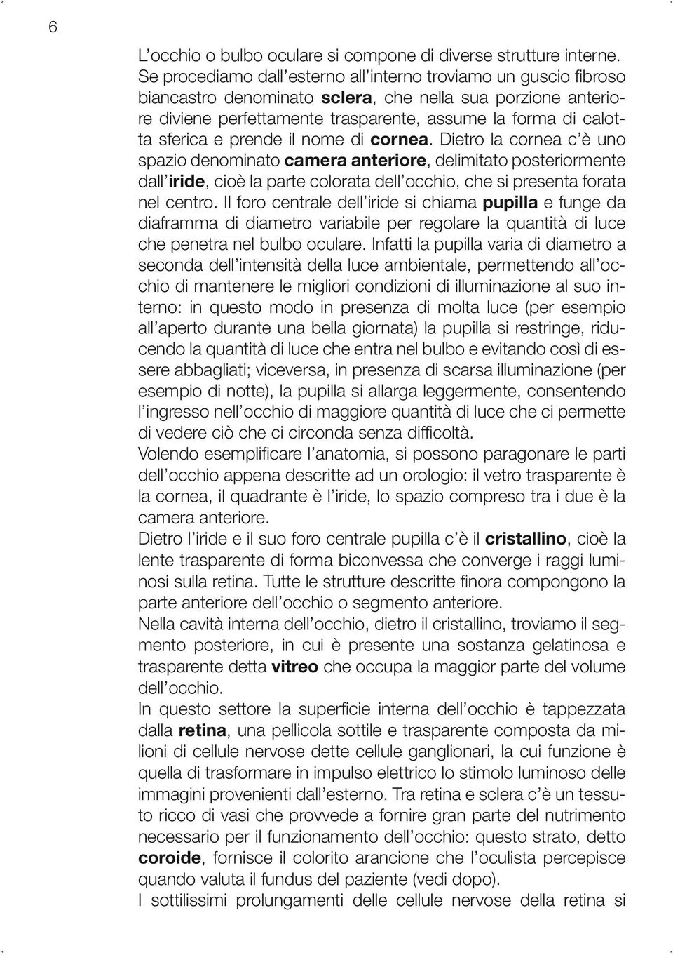 e prende il nome di cornea. Dietro la cornea c è uno spazio denominato camera anteriore, delimitato posteriormente dall iride, cioè la parte colorata dell occhio, che si presenta forata nel centro.