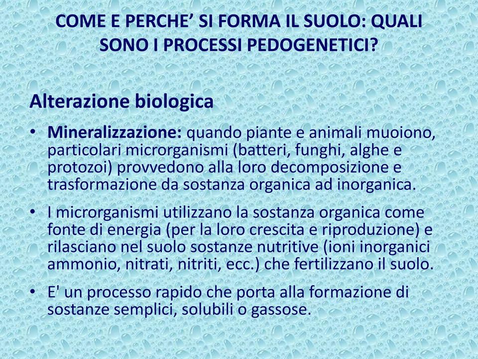 loro decomposizione e trasformazione da sostanza organica ad inorganica.