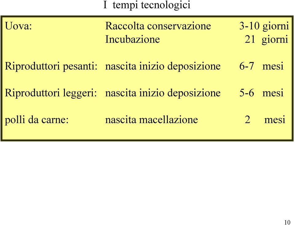 deposizione 6-7 mesi Riproduttori leggeri: nascita inizio