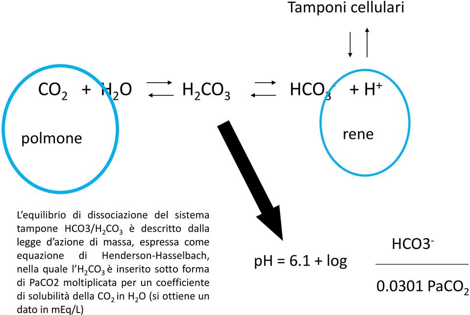 Henderson-Hasselbach, nella quale l H 2 CO 3 è inserito sotto forma di PaCO2 moltiplicata per un