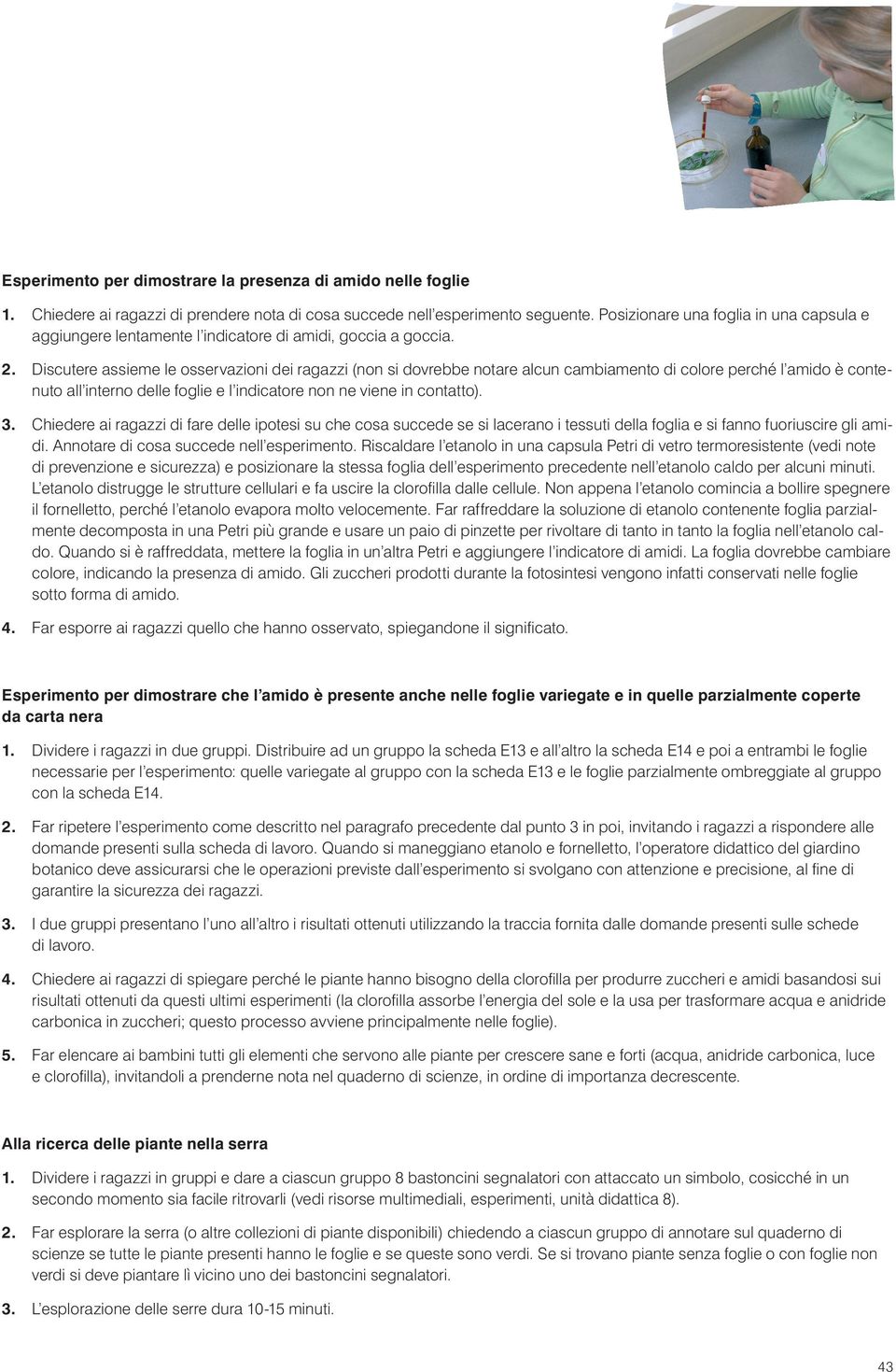 Discutere assieme le osservazioni dei ragazzi (non si dovrebbe notare alcun cambiamento di colore perché l amido è contenuto all interno delle foglie e l indicatore non ne viene in contatto). 3.