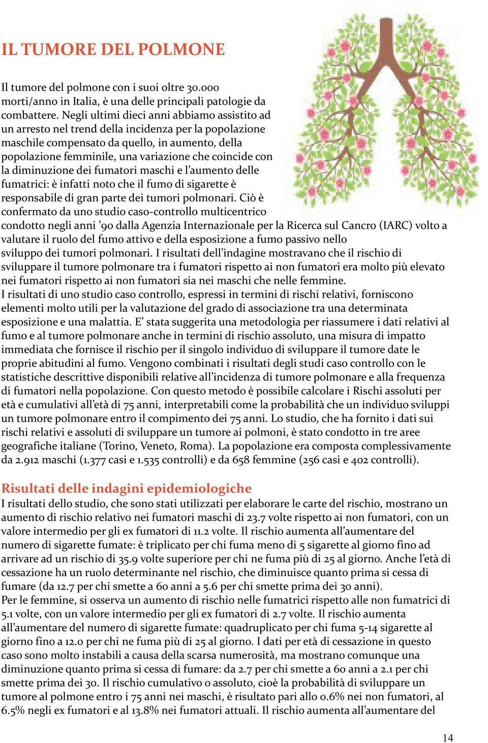 coincide con la diminuzione dei fumatori maschi e l aumento delle fumatrici: è infatti noto che il fumo di sigarette è responsabile di gran parte dei tumori polmonari.