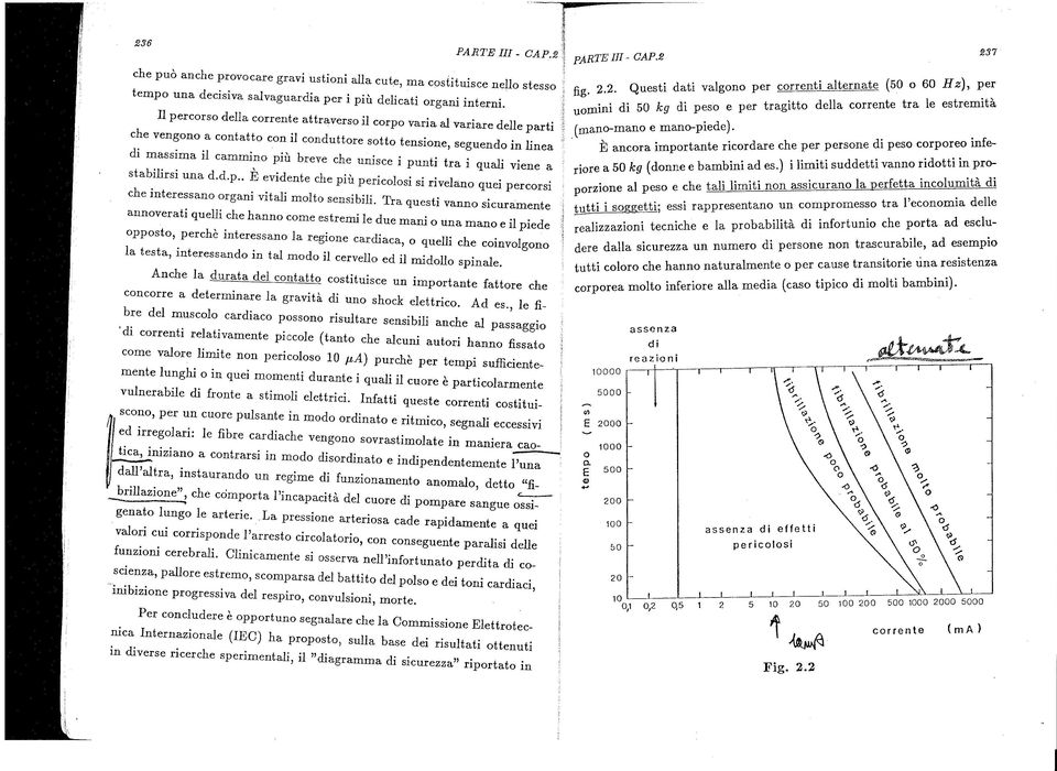 punti tra i quali viene a stabilirsi che interessano annoverati una d.d.p.. E evidente che pili pericolosi si rivelano quei percorsi organi vitali molto sensibi1i.