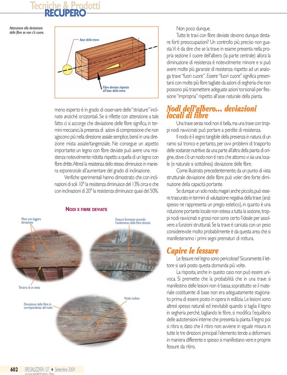 Se si riflette con attenzione a tale fatto ci si accorge ce deviazione delle fibre significa, in termini meccanici, la presenza di azioni di compressione ce non agiscono più nella direzione assiale