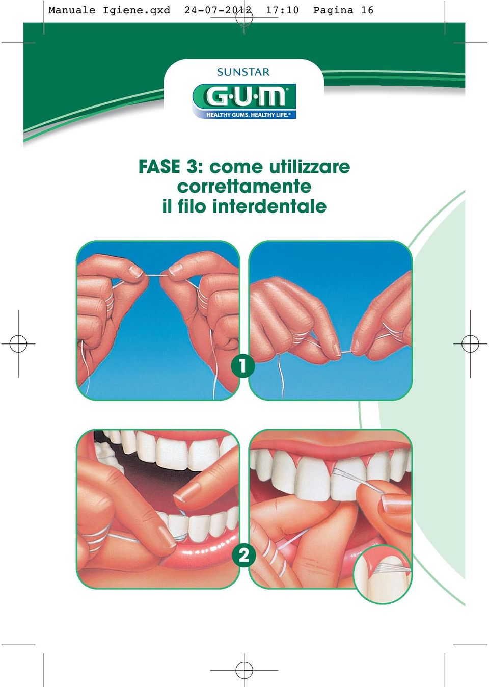 Pagina 16 FASE 3: come