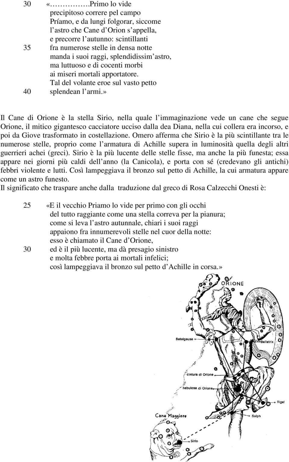 » Il Cane di Orione è la stella Sirio, nella quale l immaginazione vede un cane che segue Orione, il mitico gigantesco cacciatore ucciso dalla dea Diana, nella cui collera era incorso, e poi da Giove