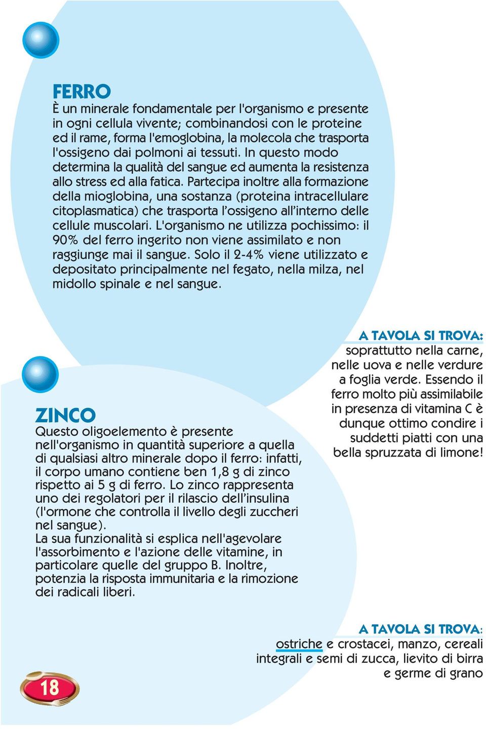 Partecipa inoltre alla formazione della mioglobina, una sostanza (proteina intracellulare citoplasmatica) che trasporta l ossigeno all interno delle cellule muscolari.