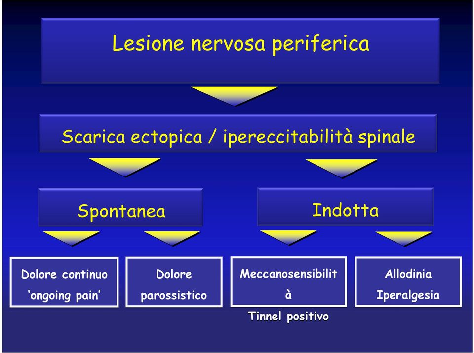 Dolore continuo Dolore Meccanosensibilit